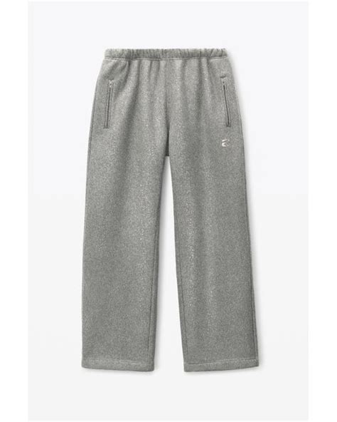 alexander wang sweatpants men.